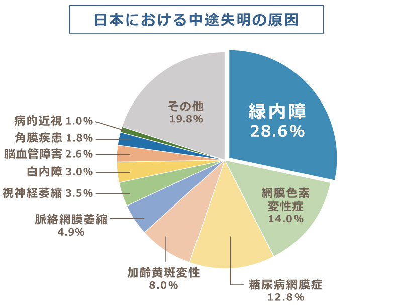 日本における中途失明の原因