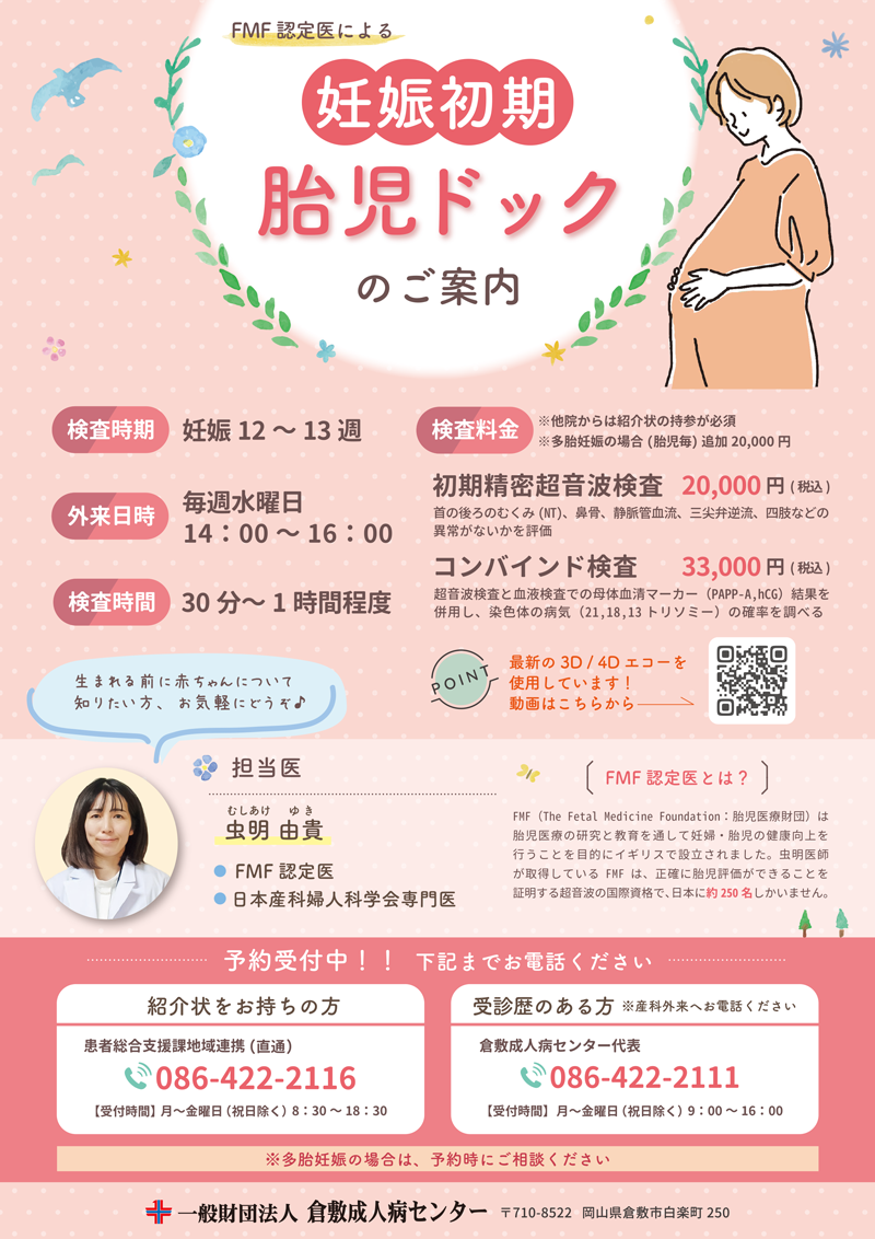 妊娠初期胎児ドック