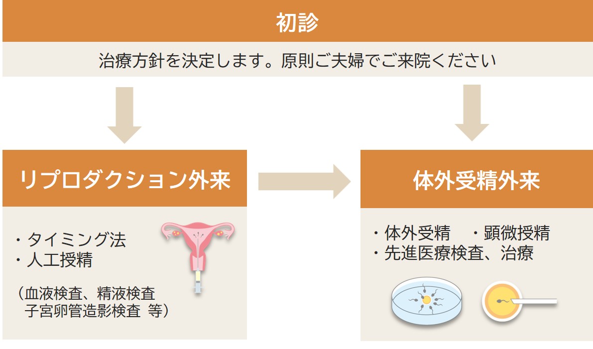 IVF受診の流れ