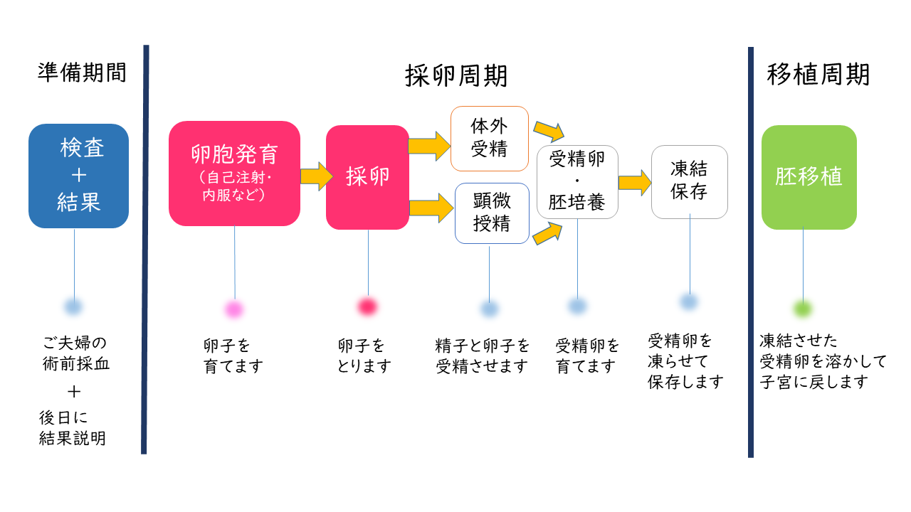 生殖補助医療の流れ