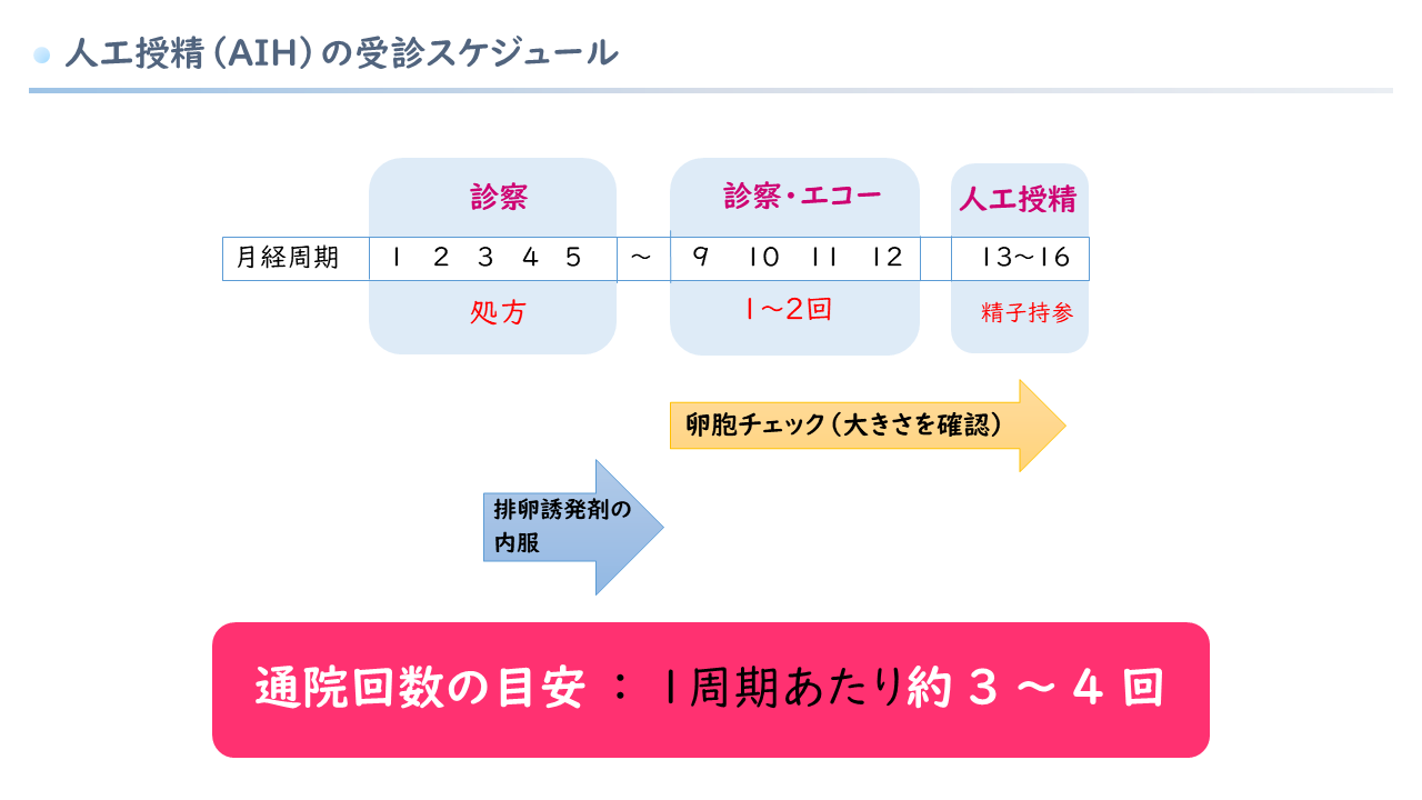 人工授精スケジュール
