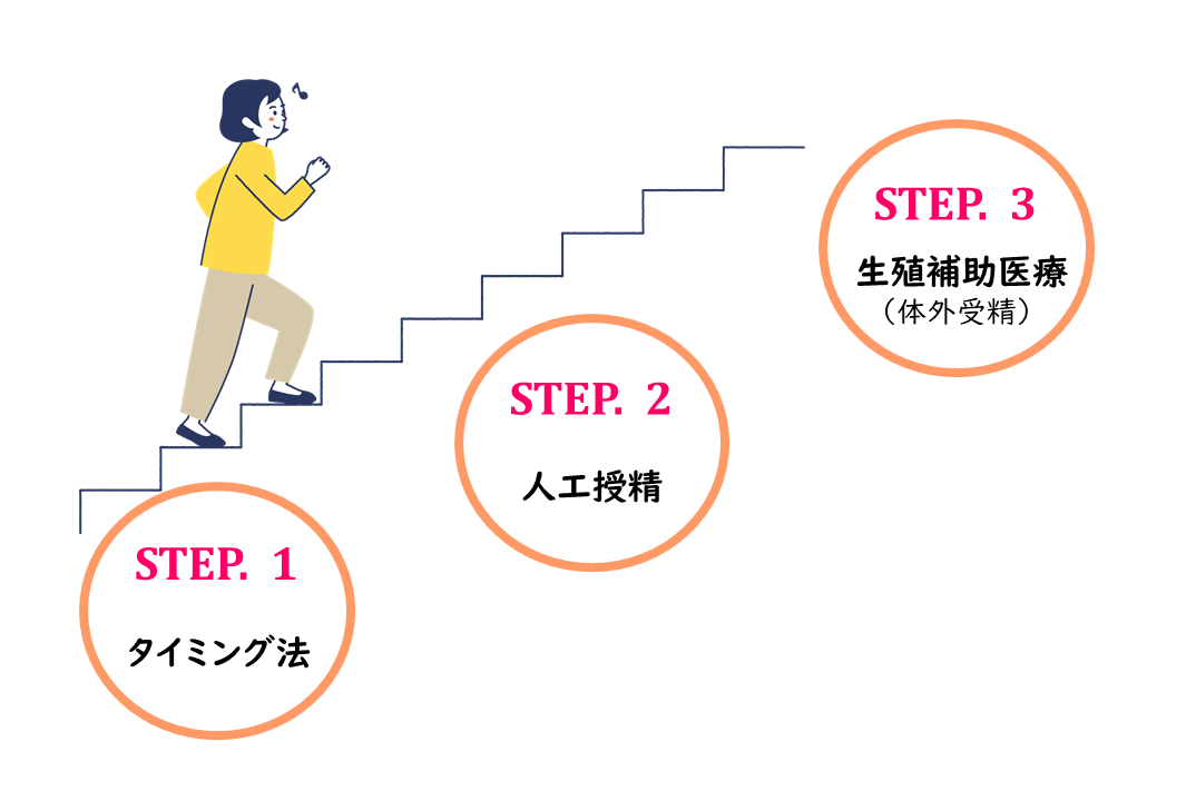 IVF治療ステップ