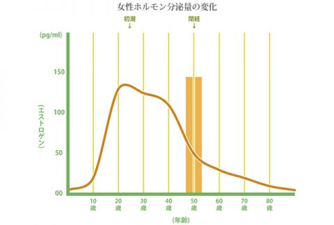 子宮筋腫原因