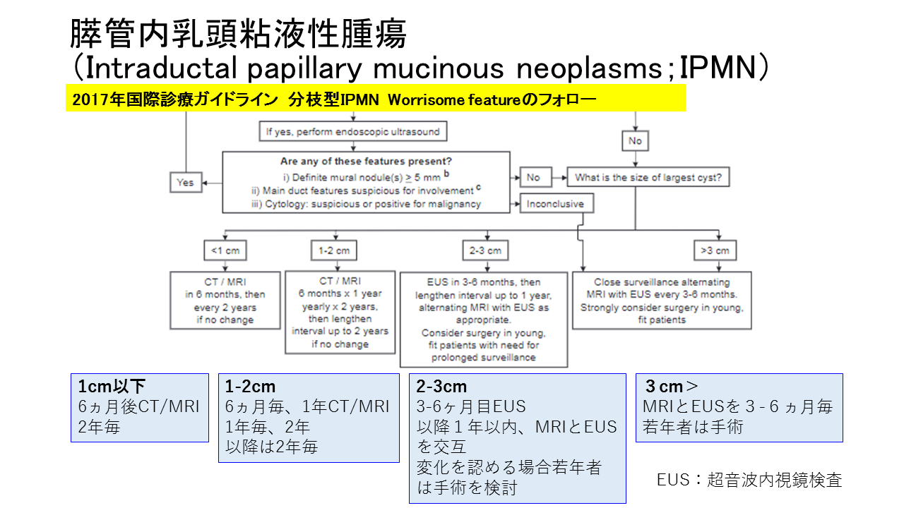 手術をしない場合の分枝型IPMNの精査及び定期フォロー検査