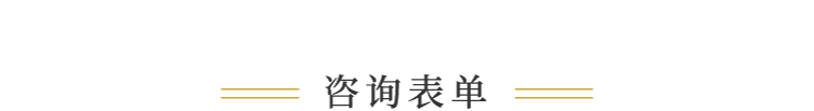 咨询表单